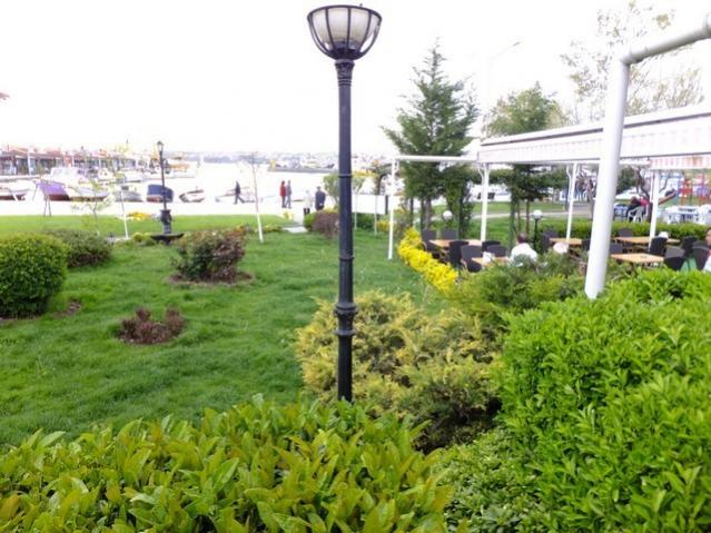 Name:  DSCF1480.jpg
Views: 414
Size:  60.7 KB
