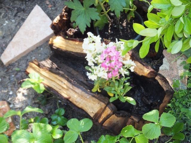 Name:  DSCF1541.jpg
Views: 319
Size:  60.5 KB