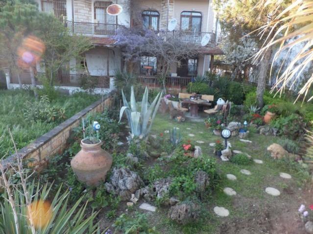 Name:  DSCF1592.jpg
Views: 399
Size:  64.7 KB