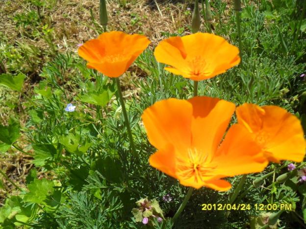 Name:  003.jpg
Views: 717
Size:  71.1 KB