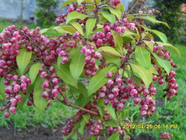Name:  035.jpg
Views: 688
Size:  61.7 KB