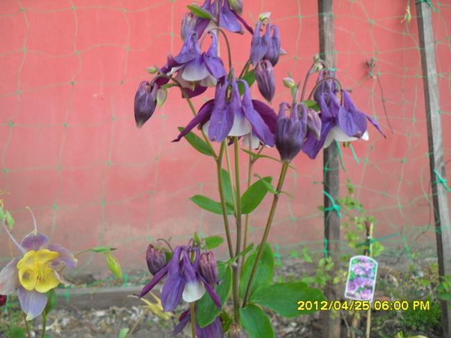 Name:  021.jpg
Views: 703
Size:  42.6 KB