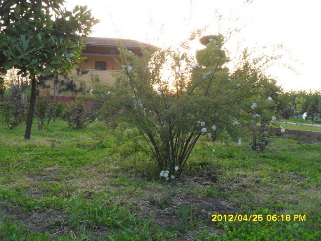 Name:  043.jpg
Views: 686
Size:  60.6 KB