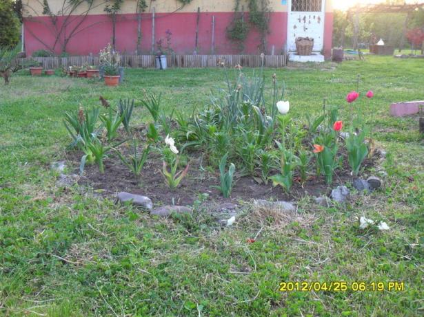 Name:  047.jpg
Views: 665
Size:  70.8 KB