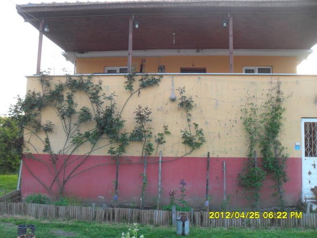 Name:  058.jpg
Views: 627
Size:  46.0 KB