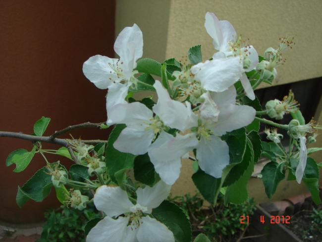 Name:  DSC09391.jpg
Views: 748
Size:  39.6 KB
