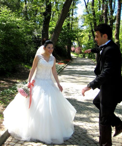 Name:  IMG_1642.jpg
Views: 1088
Size:  72.8 KB