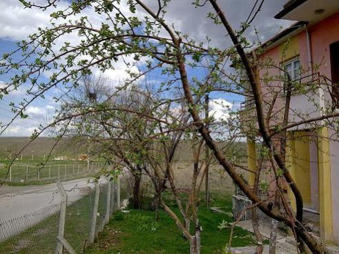 Name:  Grnt0620.jpg
Views: 1289
Size:  51.1 KB