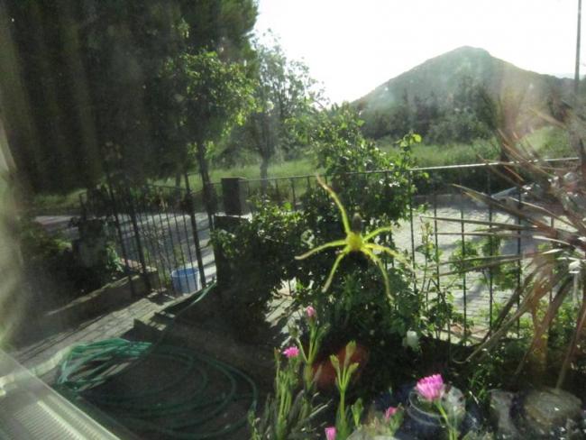 Name:  rmek1.jpg
Views: 1090
Size:  50.6 KB