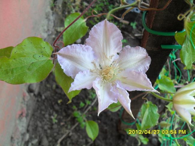 Name:  041.jpg
Views: 593
Size:  44.8 KB