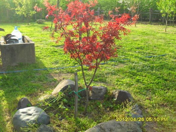 Name:  037.jpg
Views: 543
Size:  71.5 KB