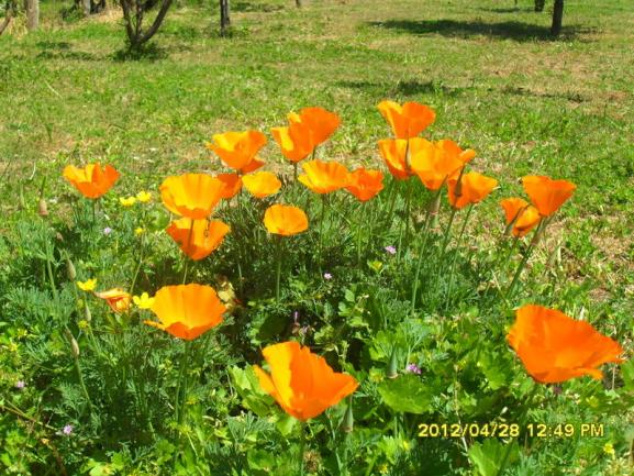 Name:  034.jpg
Views: 1249
Size:  72.8 KB