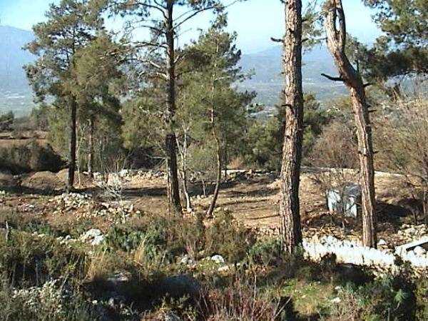 Name:  Dsc02837.jpg
Views: 1631
Size:  69.6 KB