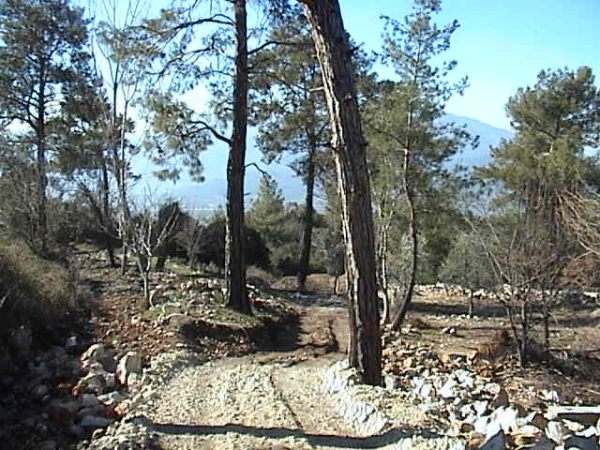 Name:  Dsc02842.jpg
Views: 1728
Size:  64.5 KB