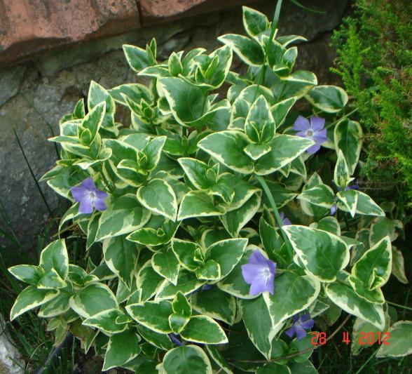 Name:  DSC00144.jpg
Views: 679
Size:  73.0 KB