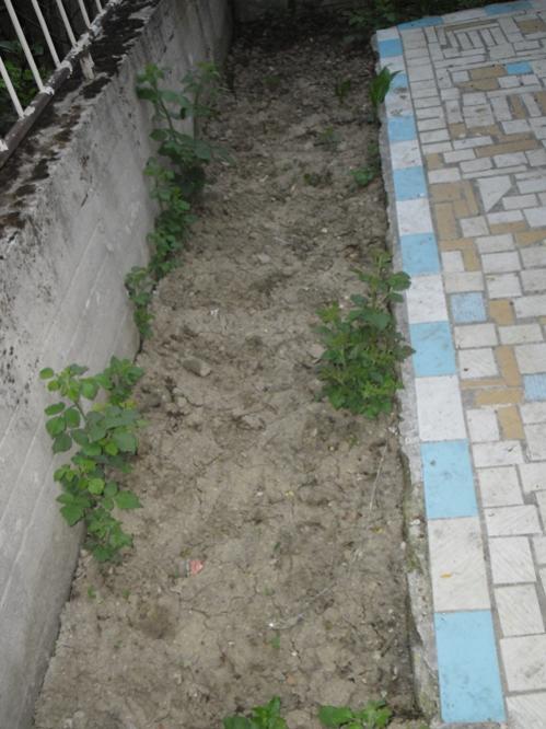 Name:  SAM_0038.jpg
Views: 444
Size:  52.8 KB