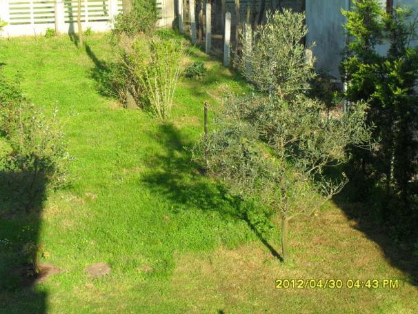 Name:  061.jpg
Views: 1095
Size:  70.5 KB