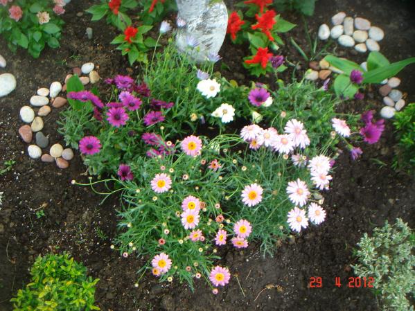 Name:  DSC00294.jpg
Views: 792
Size:  71.7 KB