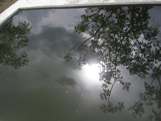 Name:  yansma.JPG
Views: 1373
Size:  50.4 KB