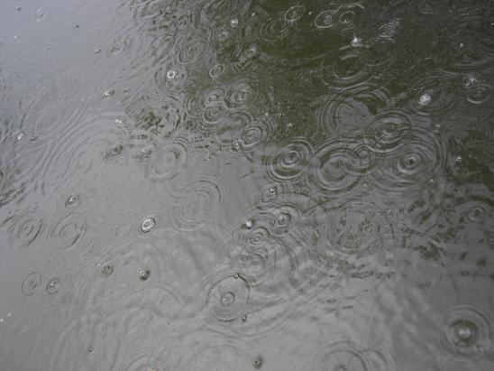 Name:  yamur1.JPG
Views: 1040
Size:  45.2 KB