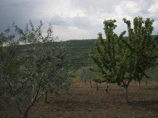 Name:  bahe5.JPG
Views: 1247
Size:  59.9 KB