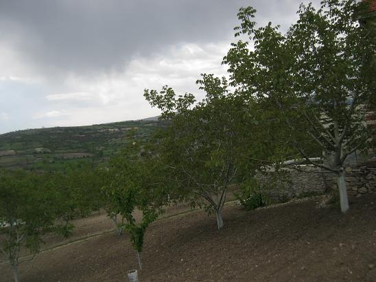 Name:  bahe8.JPG
Views: 1013
Size:  54.2 KB