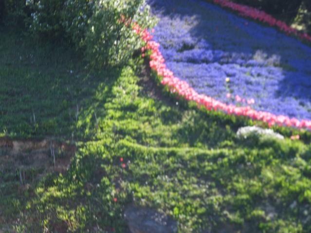 Name:  DSCF1618.jpg
Views: 422
Size:  46.1 KB