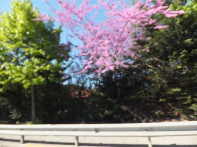 Name:  DSCF1629.jpg
Views: 403
Size:  41.6 KB