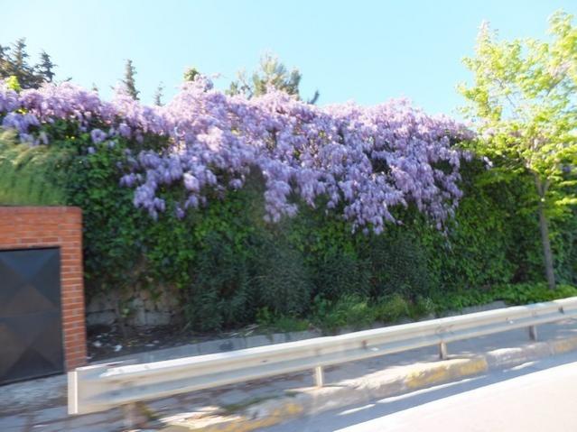 Name:  DSCF1630.jpg
Views: 404
Size:  50.0 KB