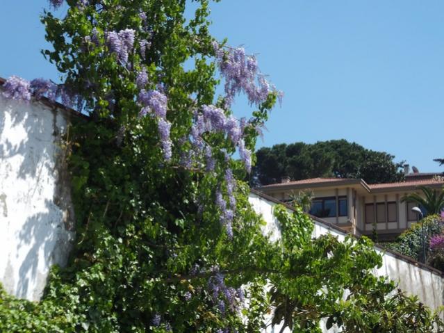 Name:  DSCF1652.jpg
Views: 572
Size:  63.7 KB