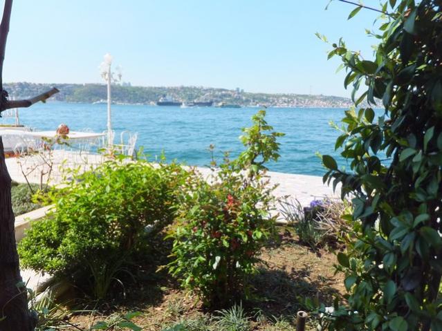 Name:  DSCF1692.jpg
Views: 790
Size:  62.7 KB