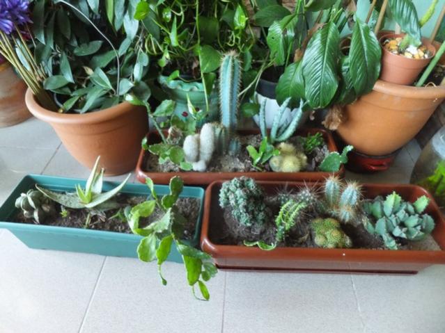 Name:  DSCF1727.jpg
Views: 487
Size:  55.8 KB