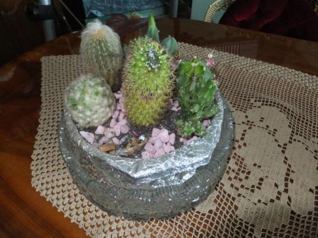 Name:  DSCF1728.jpg
Views: 503
Size:  57.8 KB