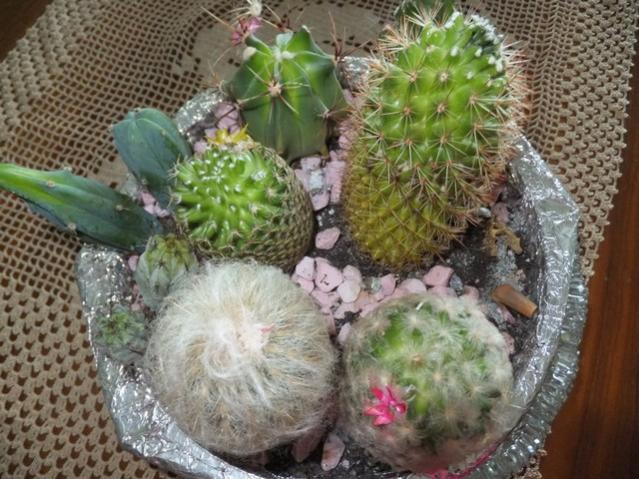 Name:  DSCF1729.jpg
Views: 530
Size:  64.2 KB