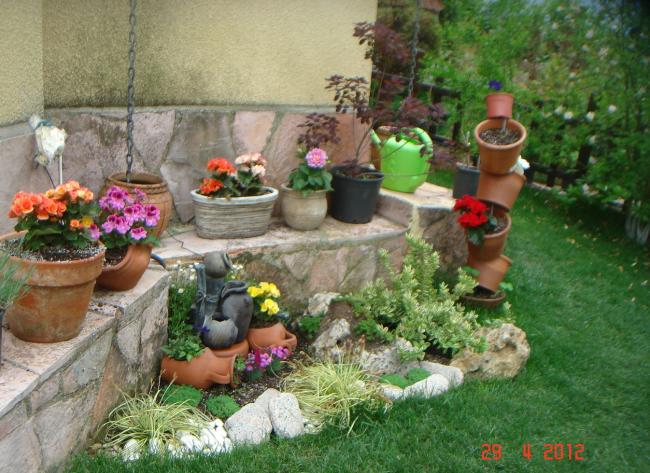 Name:  DSC00321.jpg
Views: 763
Size:  64.8 KB