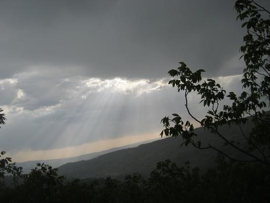 Name:  akam zeri.JPG
Views: 1177
Size:  36.7 KB