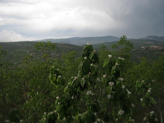 Name:  uzaklar.JPG
Views: 974
Size:  47.0 KB