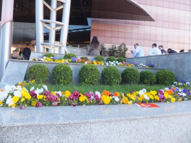 Name:  DSCF1751.jpg
Views: 518
Size:  52.3 KB