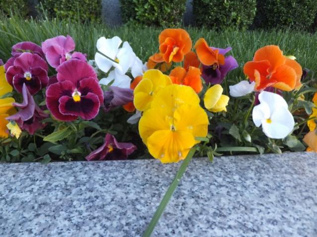 Name:  DSCF1752.jpg
Views: 515
Size:  59.9 KB
