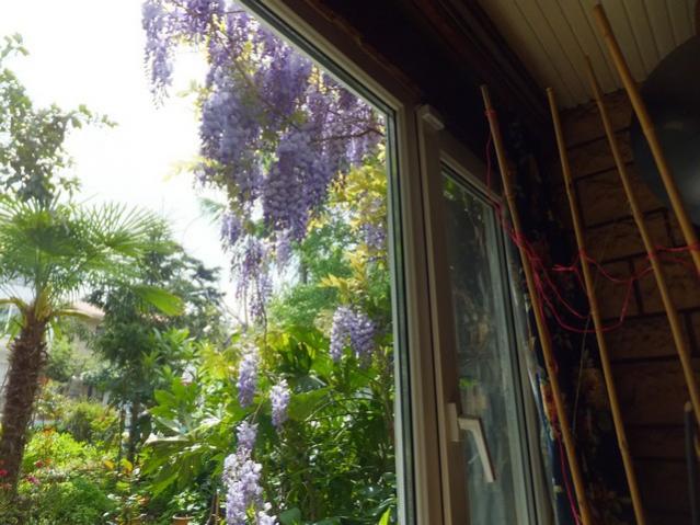 Name:  DSCF1765.jpg
Views: 455
Size:  55.0 KB