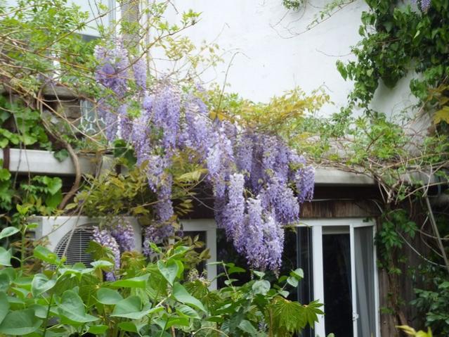 Name:  DSCF1772.jpg
Views: 403
Size:  70.0 KB