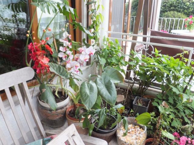 Name:  DSCF1777.jpg
Views: 536
Size:  69.1 KB
