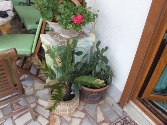 Name:  DSCF1779.jpg
Views: 560
Size:  47.7 KB