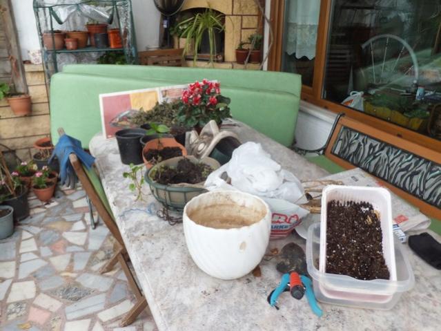 Name:  DSCF1780.jpg
Views: 511
Size:  52.8 KB