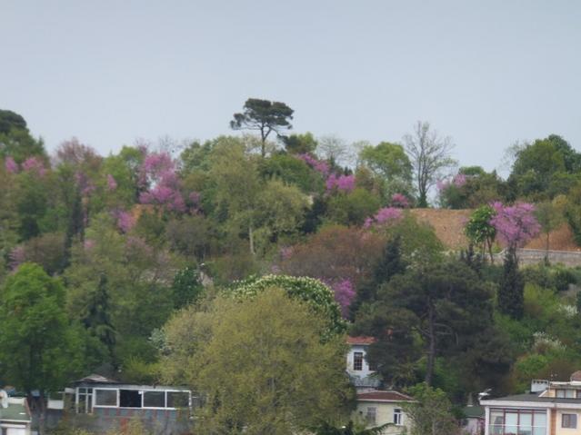 Name:  DSCF1787.jpg
Views: 484
Size:  38.5 KB