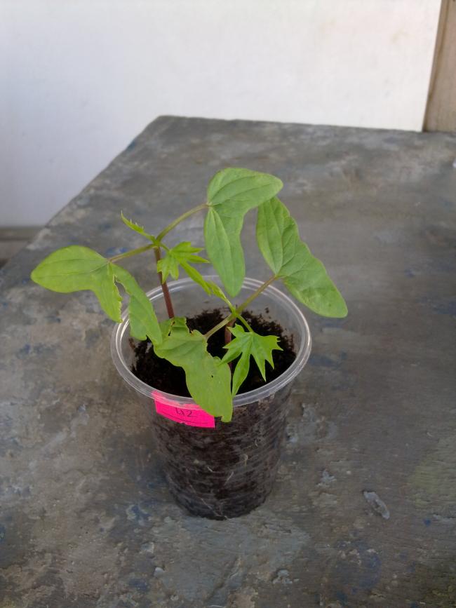 Name:  020520122289.jpg
Views: 929
Size:  52.7 KB