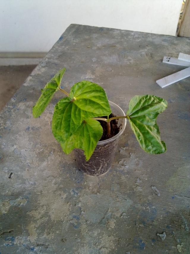 Name:  020520122294.jpg
Views: 805
Size:  69.8 KB
