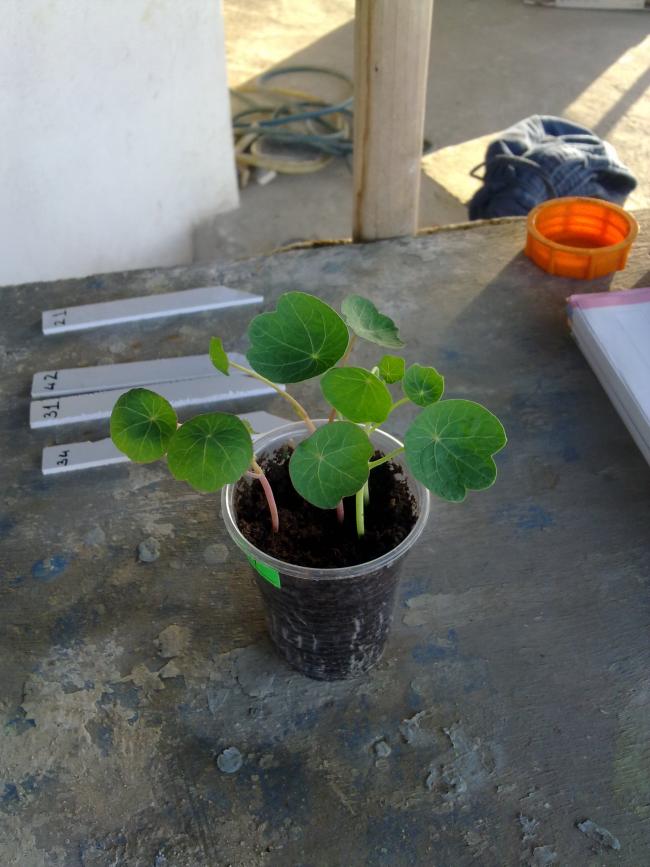 Name:  020520122299.jpg
Views: 748
Size:  66.6 KB