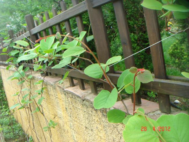 Name:  DSC00107.jpg
Views: 611
Size:  66.6 KB