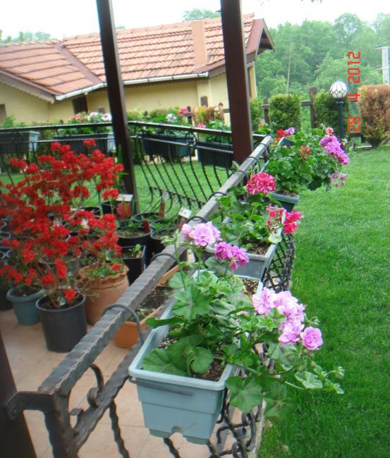 Name:  DSC09964.jpg
Views: 887
Size:  74.7 KB